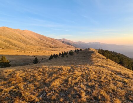 wta_2705_20221107_160229