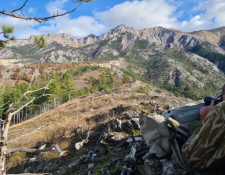 wta_2705_20221215_113617