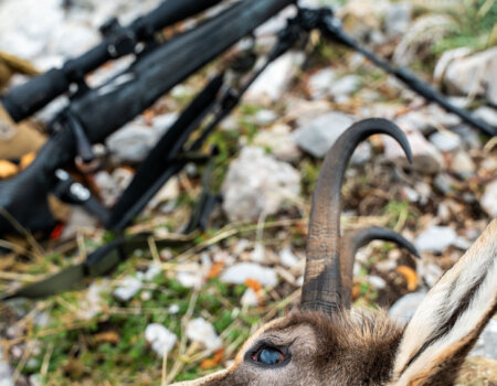 wta_2705_2025.10.23.123821-Macedonia-7M406284-EDIT