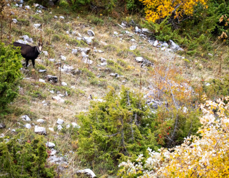 wta_2705_2025.10.23.141931-Macedonia-7S307647-EDIT