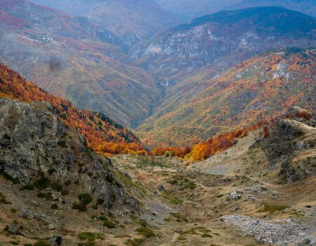 wta_2705_2025.10.23.171343-Macedonia-7M406437-EDIT