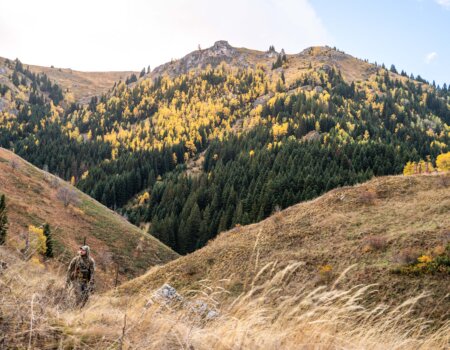 wta_2705_2025.10.24.091129-Macedonia-7M406440-EDIT