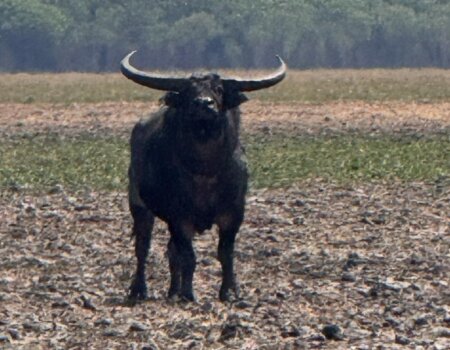 wta_2709_WhatsApp Image 2026-01-05 at 21.20.01