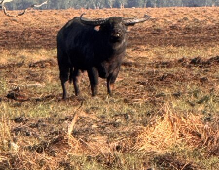 wta_2709_WhatsApp Image 2026-01-05 at 21.20.02 (1)