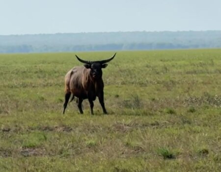 wta_2709_WhatsApp Image 2026-01-05 at 21.20.02