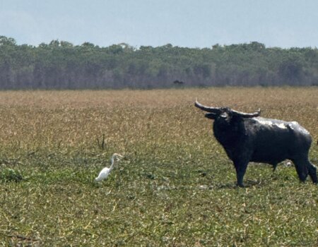 wta_2709_WhatsApp Image 2026-01-05 at 21.20.04 (2)