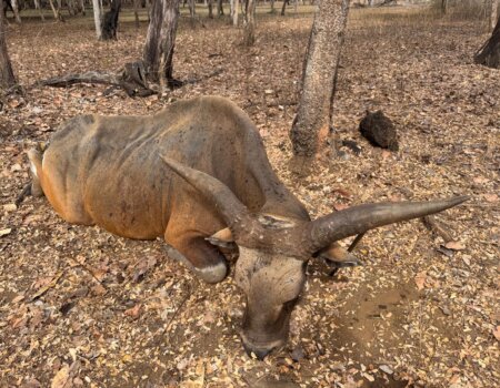 wta_2709_WhatsApp Image 2026-01-05 at 21.20.05 (1)