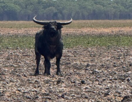 wta_2709_WhatsApp Image 2026-01-05 at 21.20.05