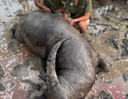 wta_2709_WhatsApp Image 2026-01-05 at 21.20.10 (1)