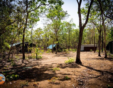 wta_2709_WhatsApp Image 2026-01-05 at 21.24.35 (3)