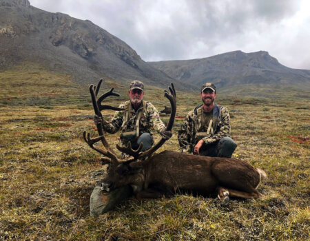 wta_2711_caribou-jpg