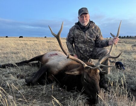 wta_2713_ae5b05f7-26f6-451d-a433-bbafee37269a