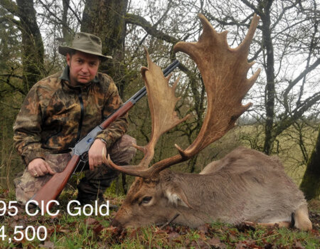 wta_2715_2013_50_Fallow Deer_195 CIC pts - Gold Medal_Jean Philippe D.