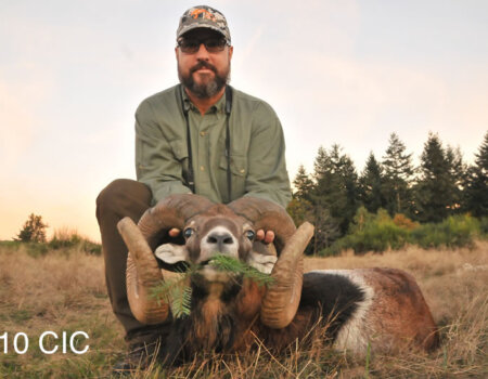 wta_2715_2016_22_Mouflon_210 CIC pts - 138 3_8 SCI pts - Gold Medal_Marcos S.