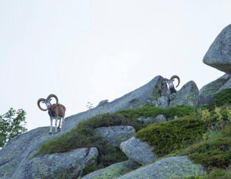 wta_2724_WhatsApp Image 2024-03-29 at 10.03.40 (26)