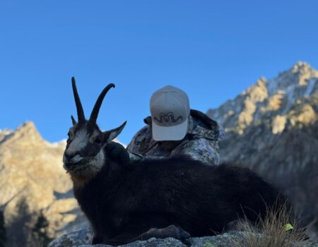 wta_2724_WhatsApp Image 2026-01-23 at 02.40.21 (1)