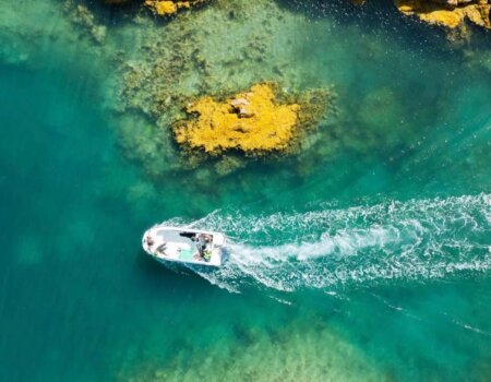 wta_2725_2d69c293-85d9-4dc6-85c4-f8bdcb2fe154