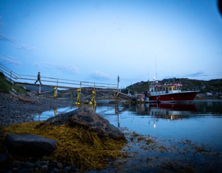 wta_2725_47d40415-98c9-408e-ac36-4635ed17c64c