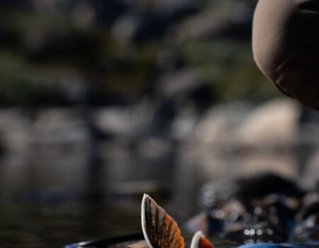 wta_2725_5e701c73-c17f-4f4b-bd38-a1a8616898d9