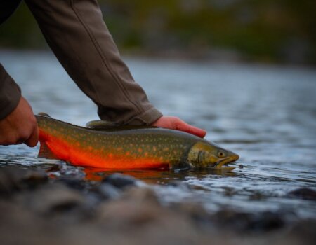 wta_2725_be6675b9-b91b-490f-a1a8-a34b31806702