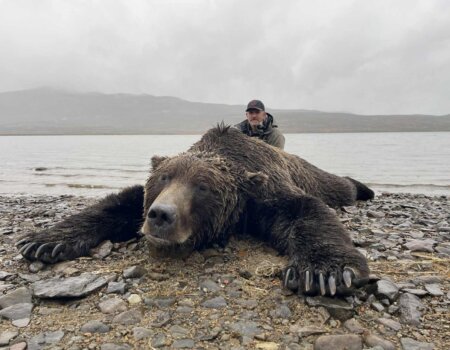wta_2732_Katmai Brown Bear 2