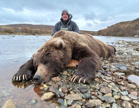 wta_2732_Katmai Brown Bear 3