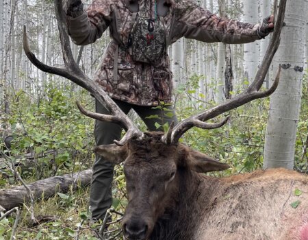 wta_2738_IMG_5938 (1)