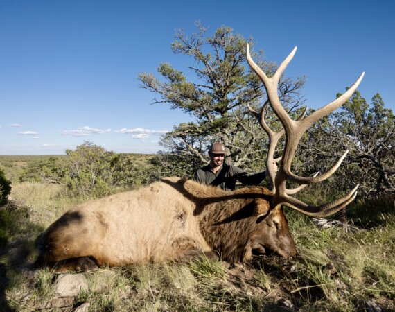 Blog Posts Archive - Worldwide Trophy Adventures