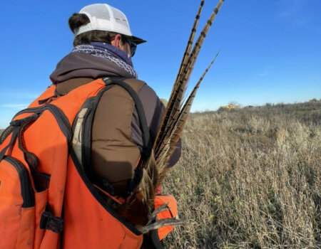 wta_2749_Montana Tail