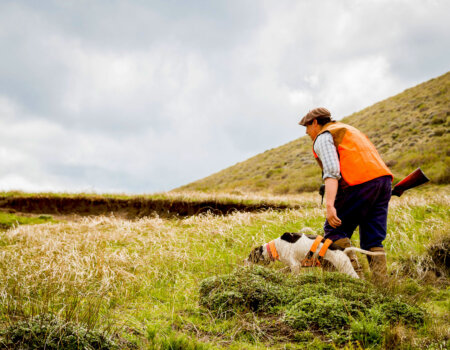 wta_2753_Patagonia Dog