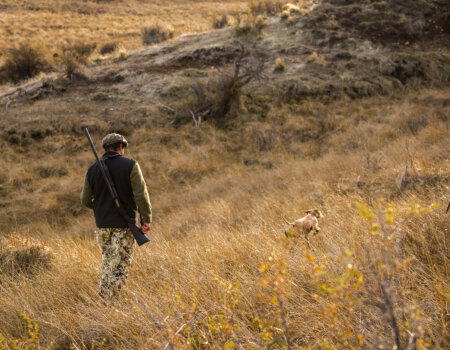 wta_2753_Patagonia Field