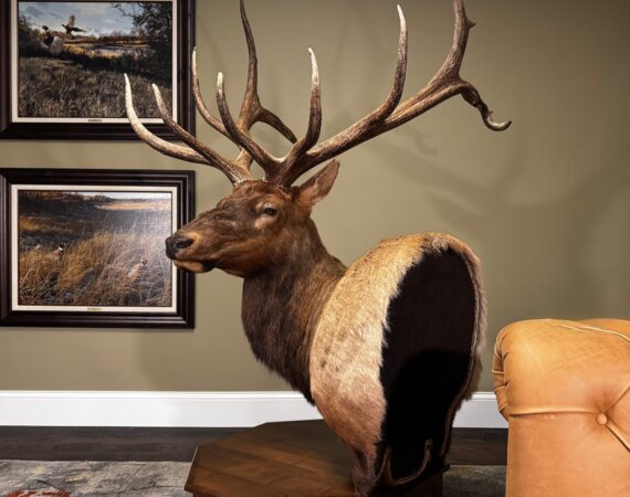 Blog Posts Archive - Worldwide Trophy Adventures