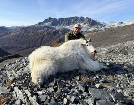 wta_tags_2025_Alaska - BP goat_
