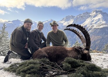 Hunting Austria’s Alpine Ibex