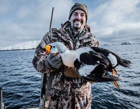 060A7299_kind eider (3)