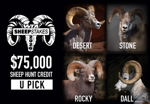 26_$75K Sheep Hunt Credit_4Sheepstakes_1100x760