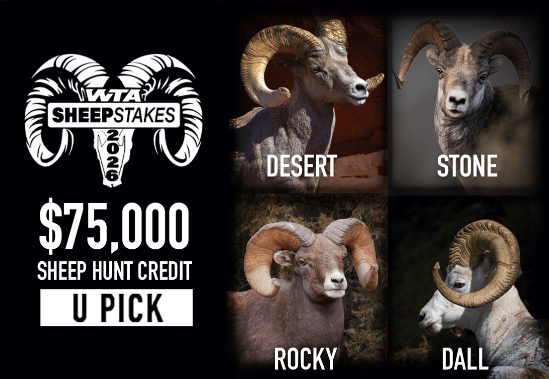 26_$75K Sheep Hunt Credit_4Sheepstakes_1100x760