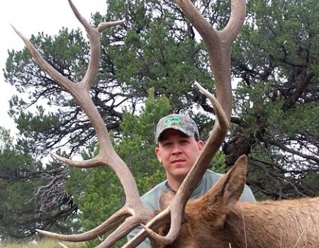 Elk hunting