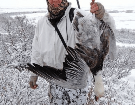 Screen Shot 2015-08-26 at 3.31.46 PM