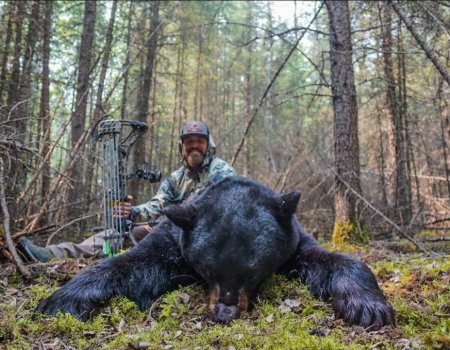 Screenshot_20250611_233747_Adobe Photoshop Express