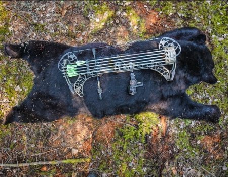 Screenshot_20250611_233918_Adobe Photoshop Express