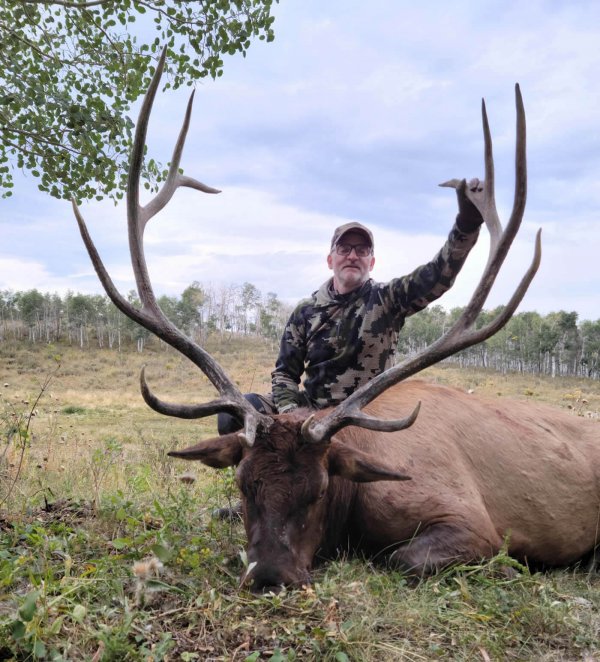 TWO BEAR BULL #10 - '22