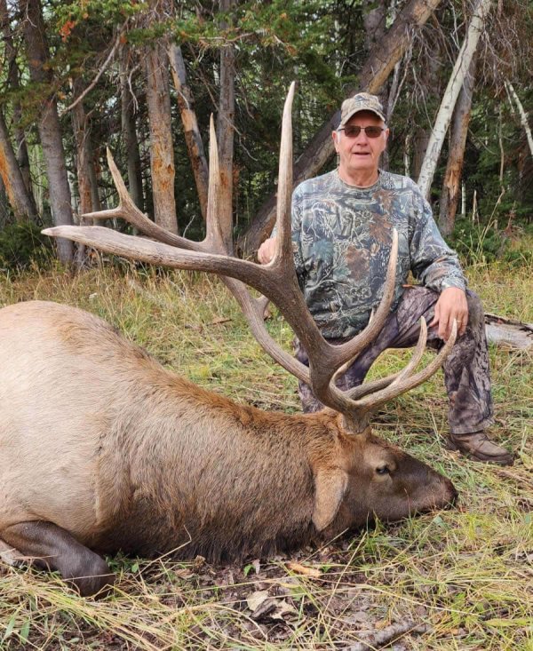 TWO BEAR BULL #11 - '22