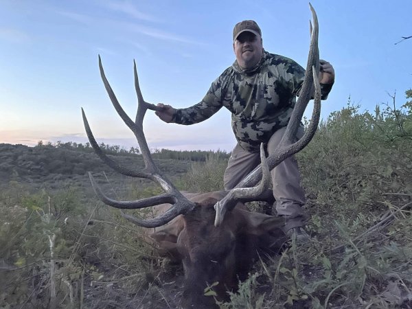 TWO BEAR BULL #5 - '22