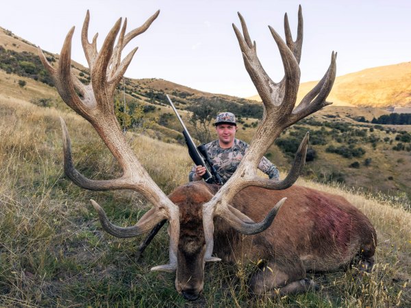 Venator New Zealand_ Red Stag_450-500_1