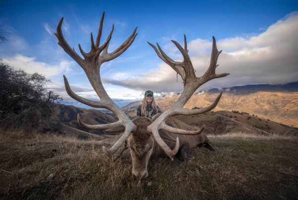 Venator New Zealand_ Red Stag_450-500_4