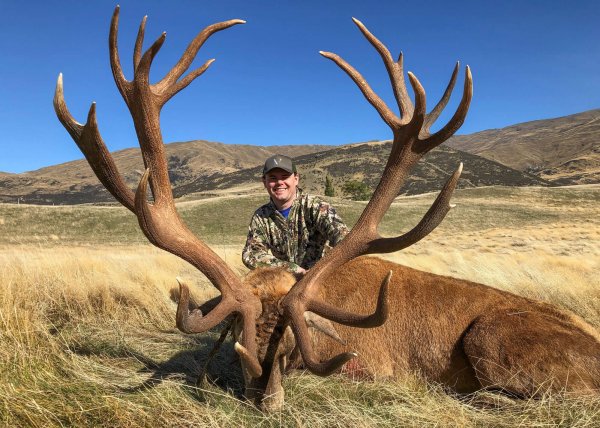 Venator New Zealand_Red Stag_400-450_1