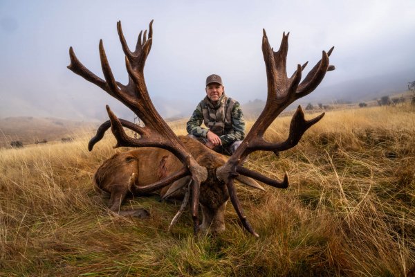 Venator New Zealand_Red Stag_400-450_3