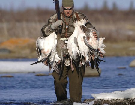 Waterfowl hunting