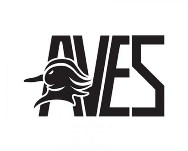 avesi_Logo-rect